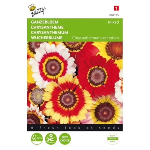 Chrysanthemum Mix Seeds